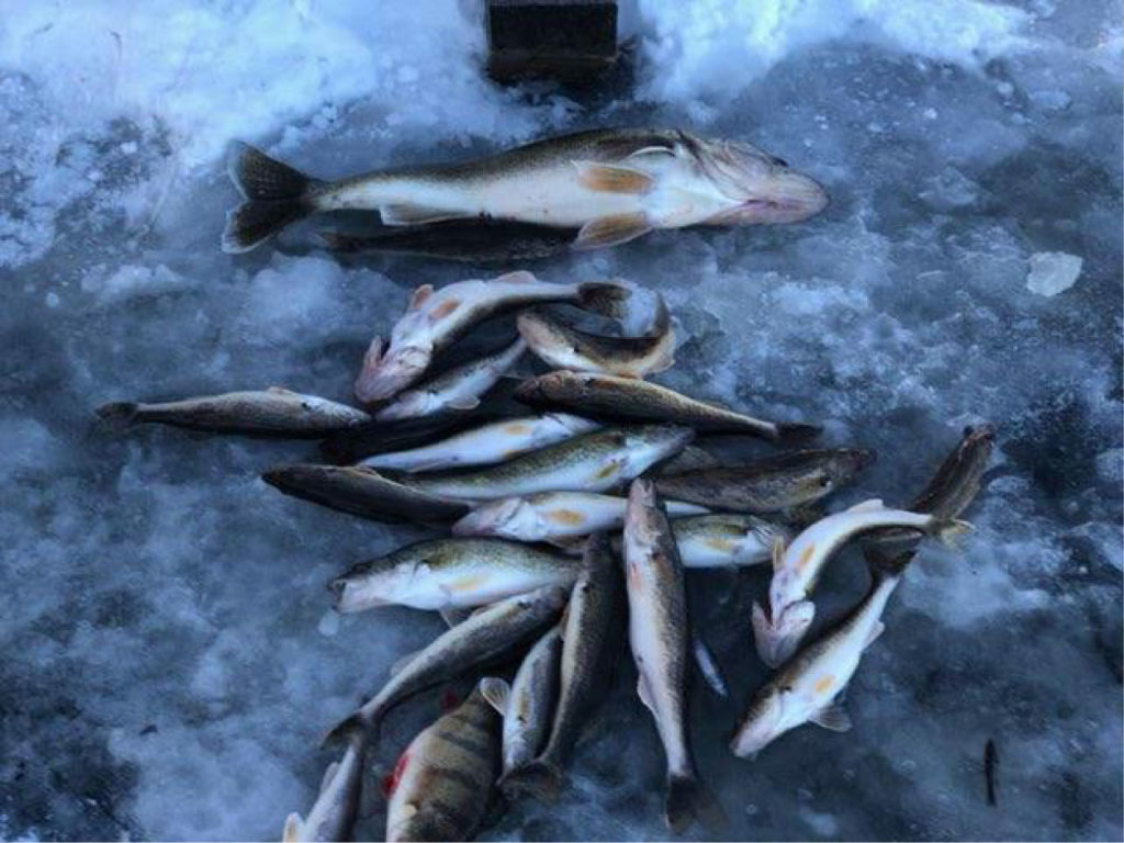 Ice Fishing Packages Cyrus Resort