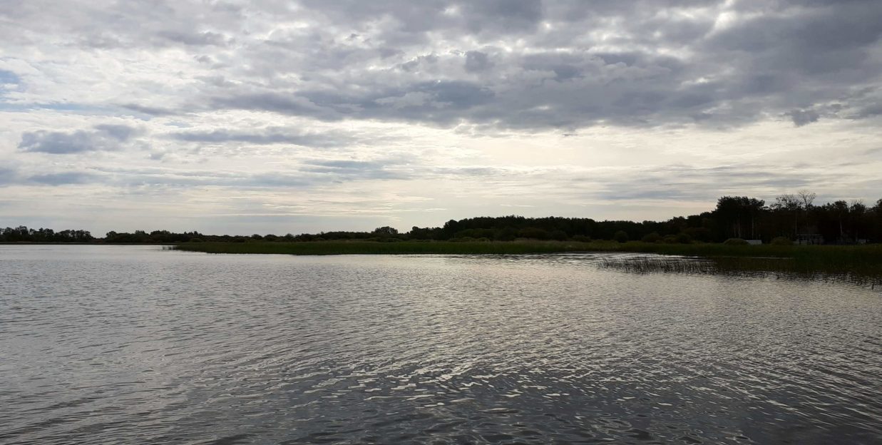 Fishing on Lake of the Woods Cyrus Resort