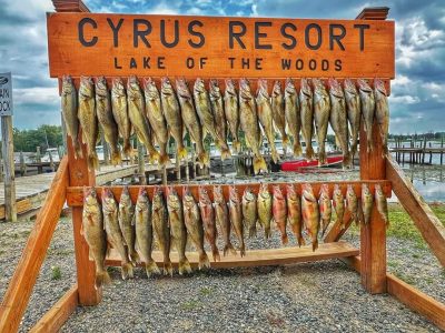 Cyrus Fishes