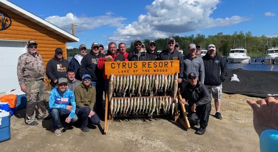Charter Fishing Cyrus Resort Lake of the Woods, MN