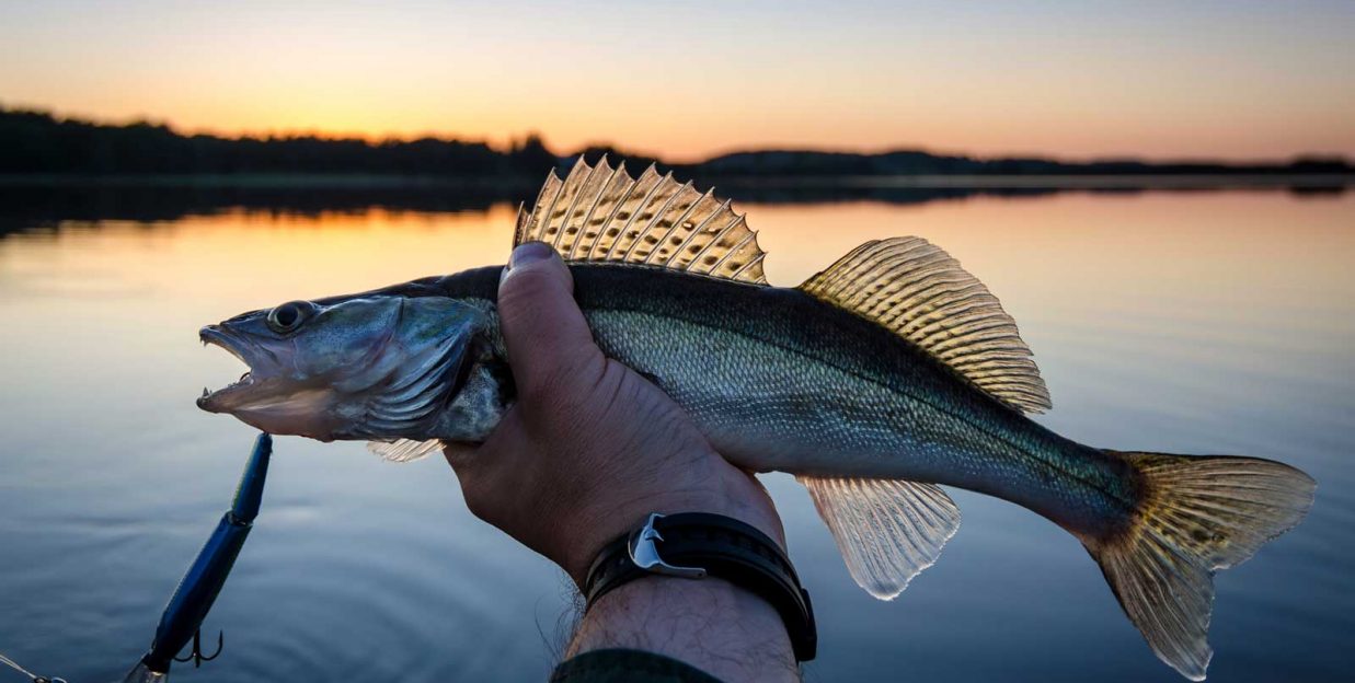 Events Cyrus Resort Lake of the Woods